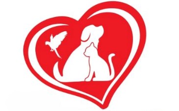 Denizli Albayrak Veteriner Kliniği